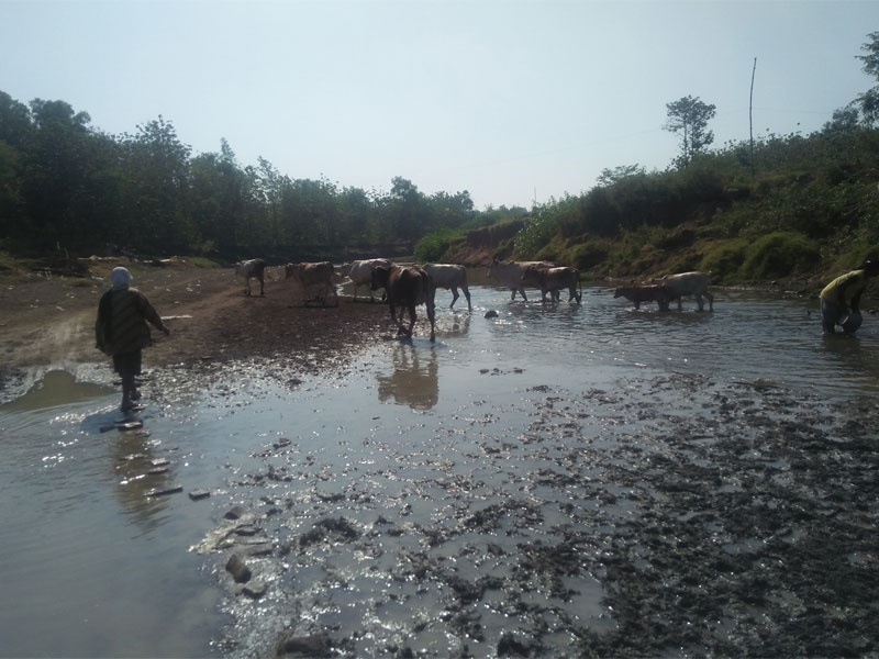 Bendungan Cisadap Mengering, Warga Memanfaatkan Membuat Batu Merah.