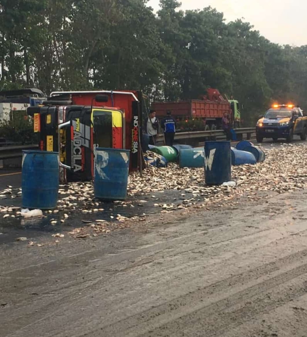 Truk pengangkut ikan mujair terguling di jalan tol Sidoarjo arah Porong tepatnya di kilometer 759/A, Selasa (2/7) pagi. 
