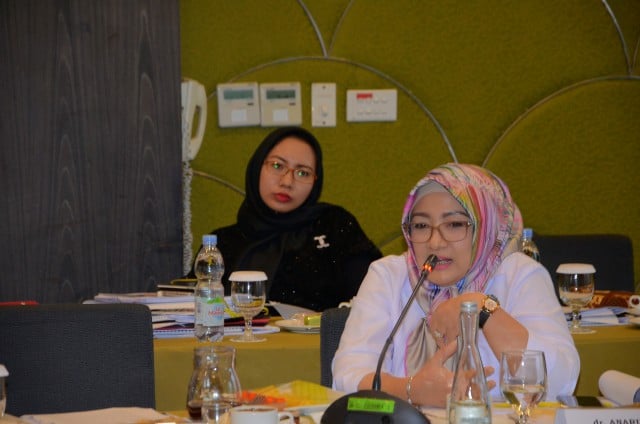 Anggota Komisi XI DPR RI Anarulita Muchtar.