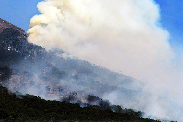 Kebakaran hutan di Banyumas