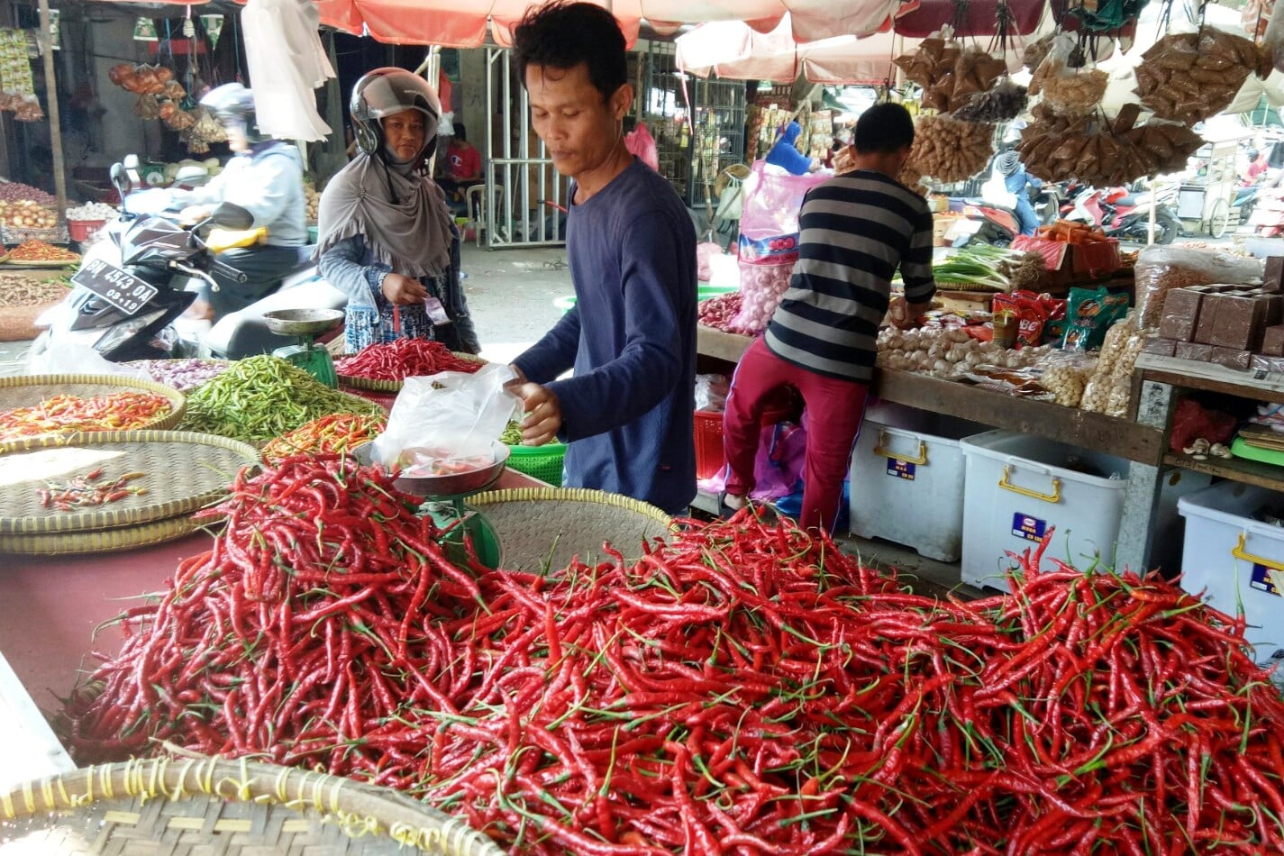 Harga cabai mulai turun.