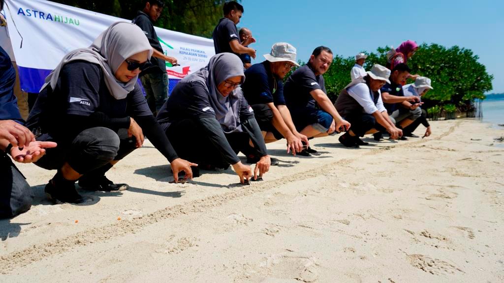 Daihatsu bekerja sama dengan Balai Taman Nasional Kepulauan Seribu terus melakukan upaya pelestarian penyu bertajuk 'Penyu Untuk Indonesia'.