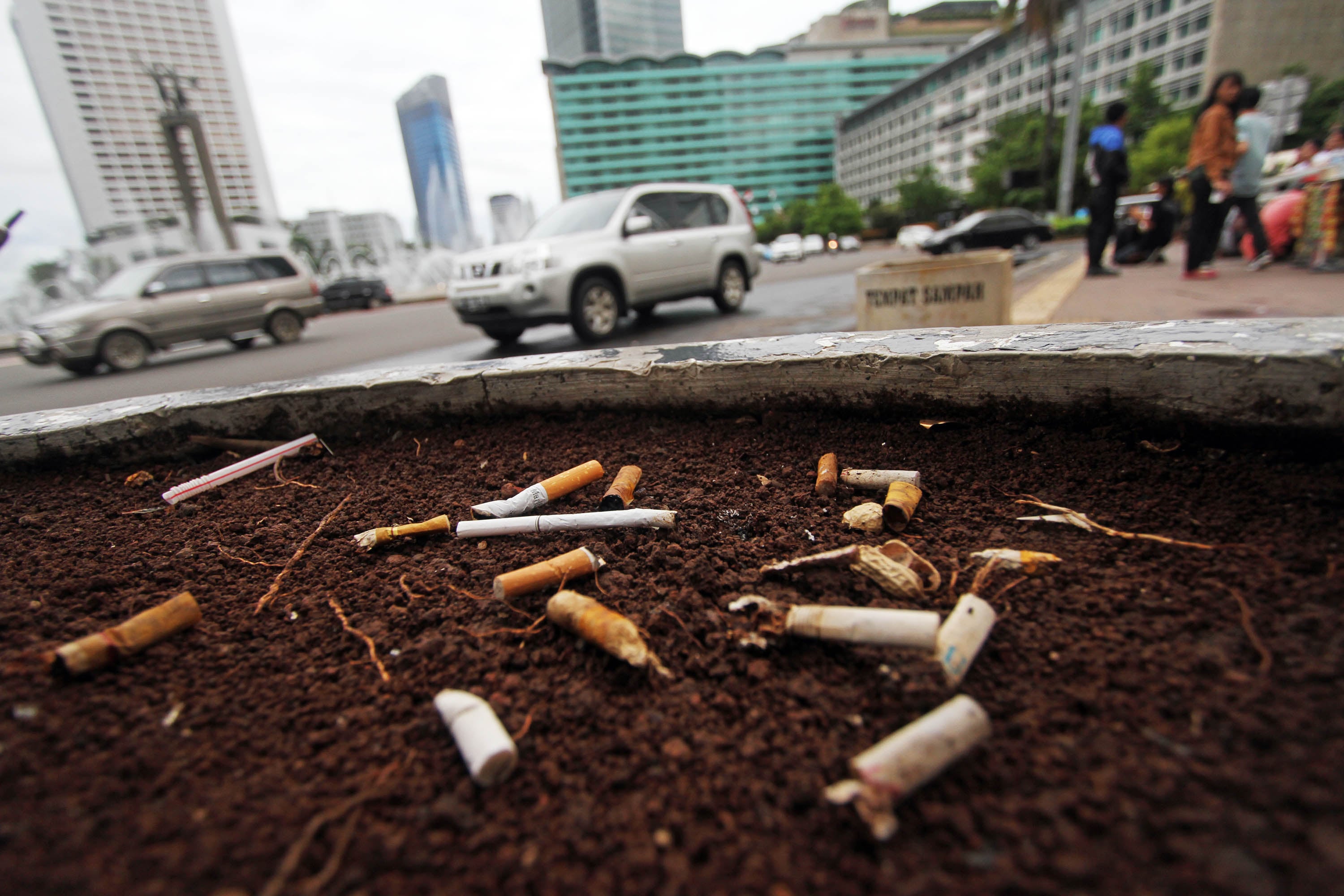 Peneliti terbaru mengungkapkan filter pada puntung rokok merusak pertumbuhan tamanan.