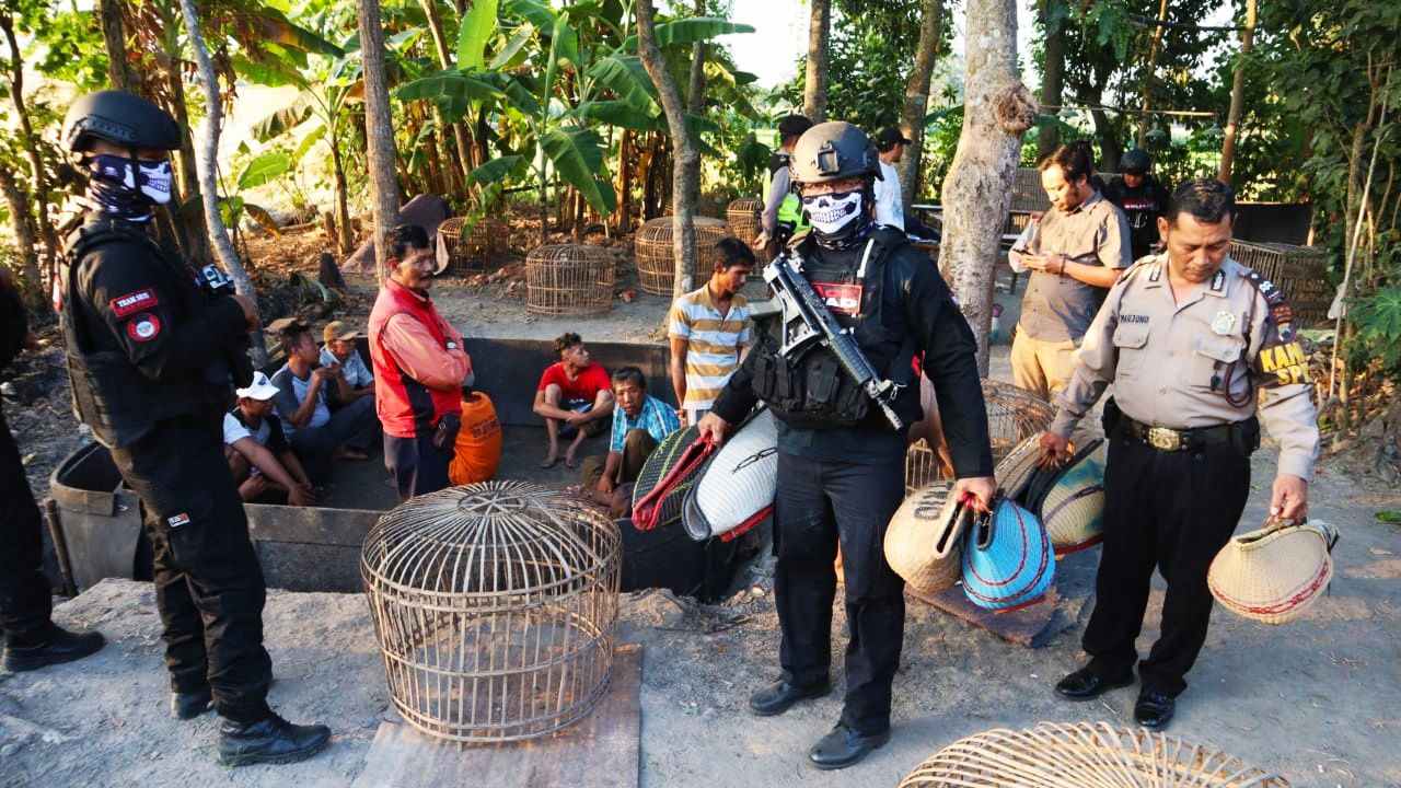 Petugas mengamankan para tersangka dan barang bukti di arena sabung ayam.