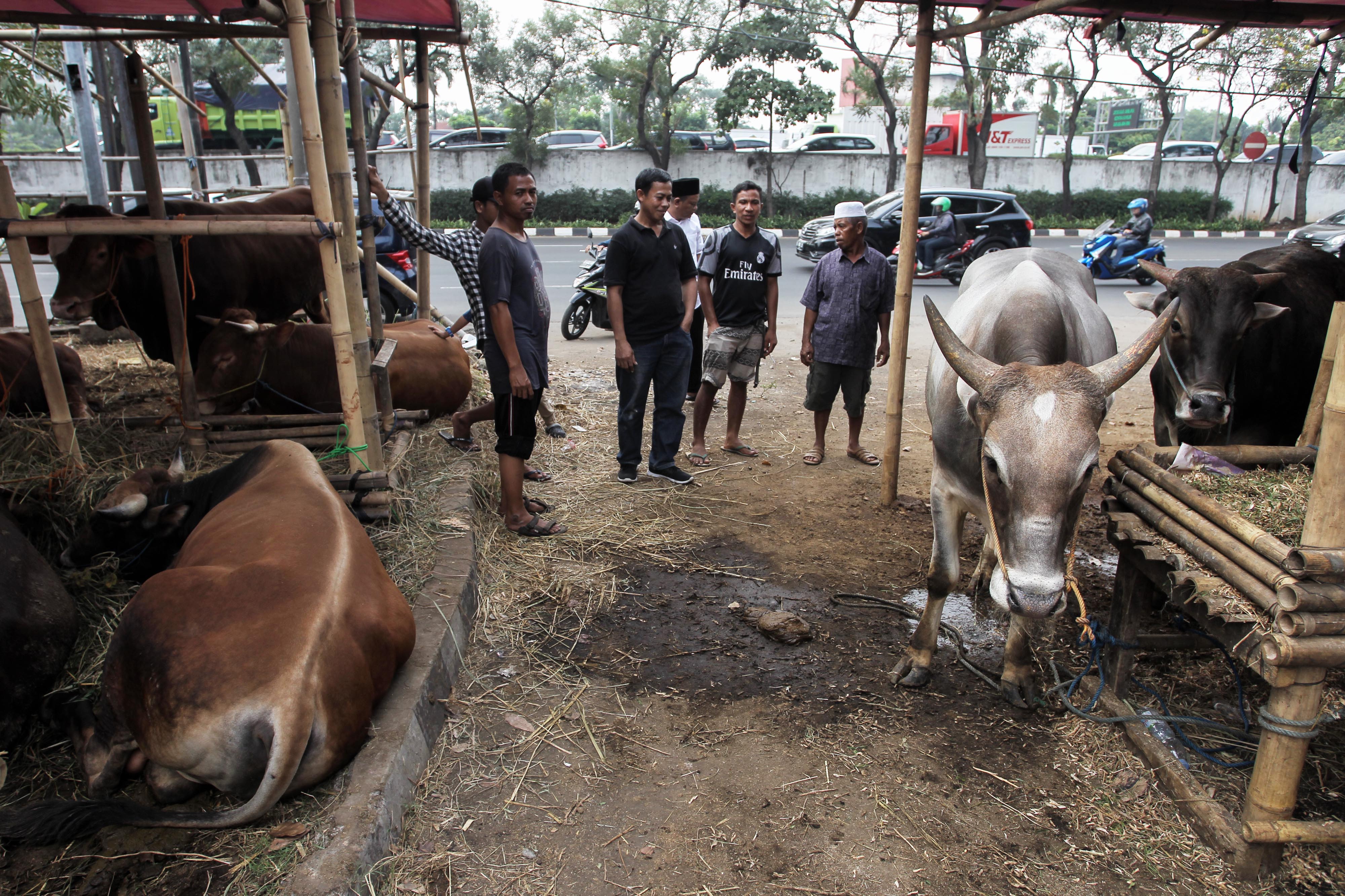 Anies Sarankan Daging Kurban Gunakan Wadah Ramah Lingkungan
