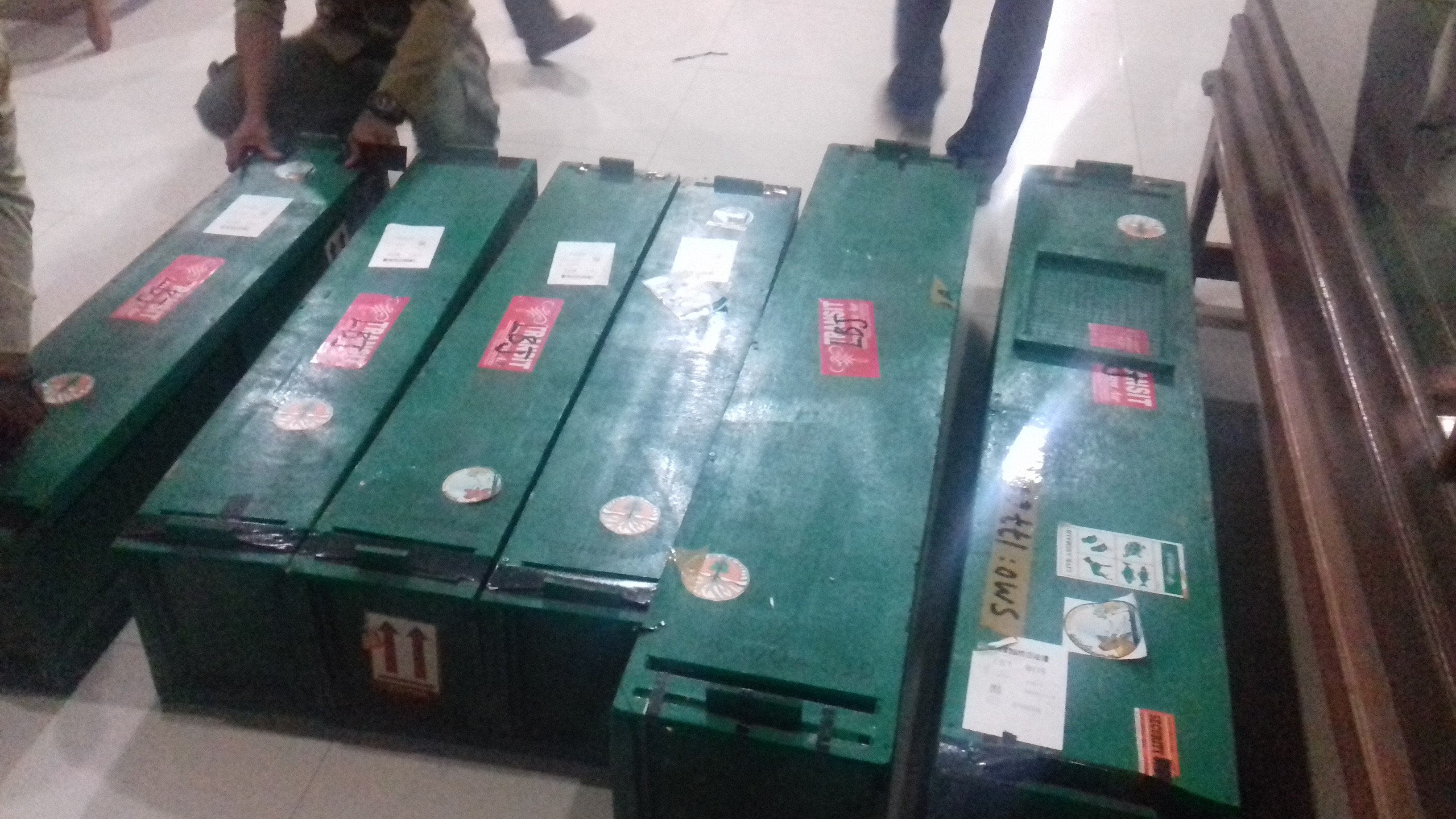 Anak komodo: Anak komodo asal Riung Flores yang sempat di curi itu,di kembalikan pihak BKSDA surabaya ke habitat aslinya