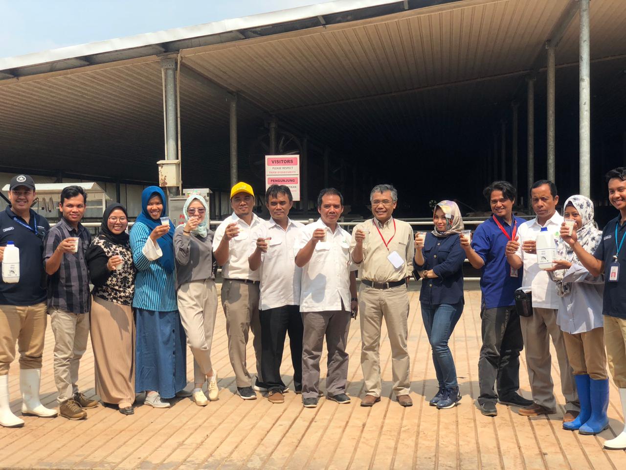 Media Indonesia & Lampung Post ke kandang sapi perah Great Giant Livestock (GGL), anak perusahaan Great Giant Foods (GGF) di Lampung Tengah.