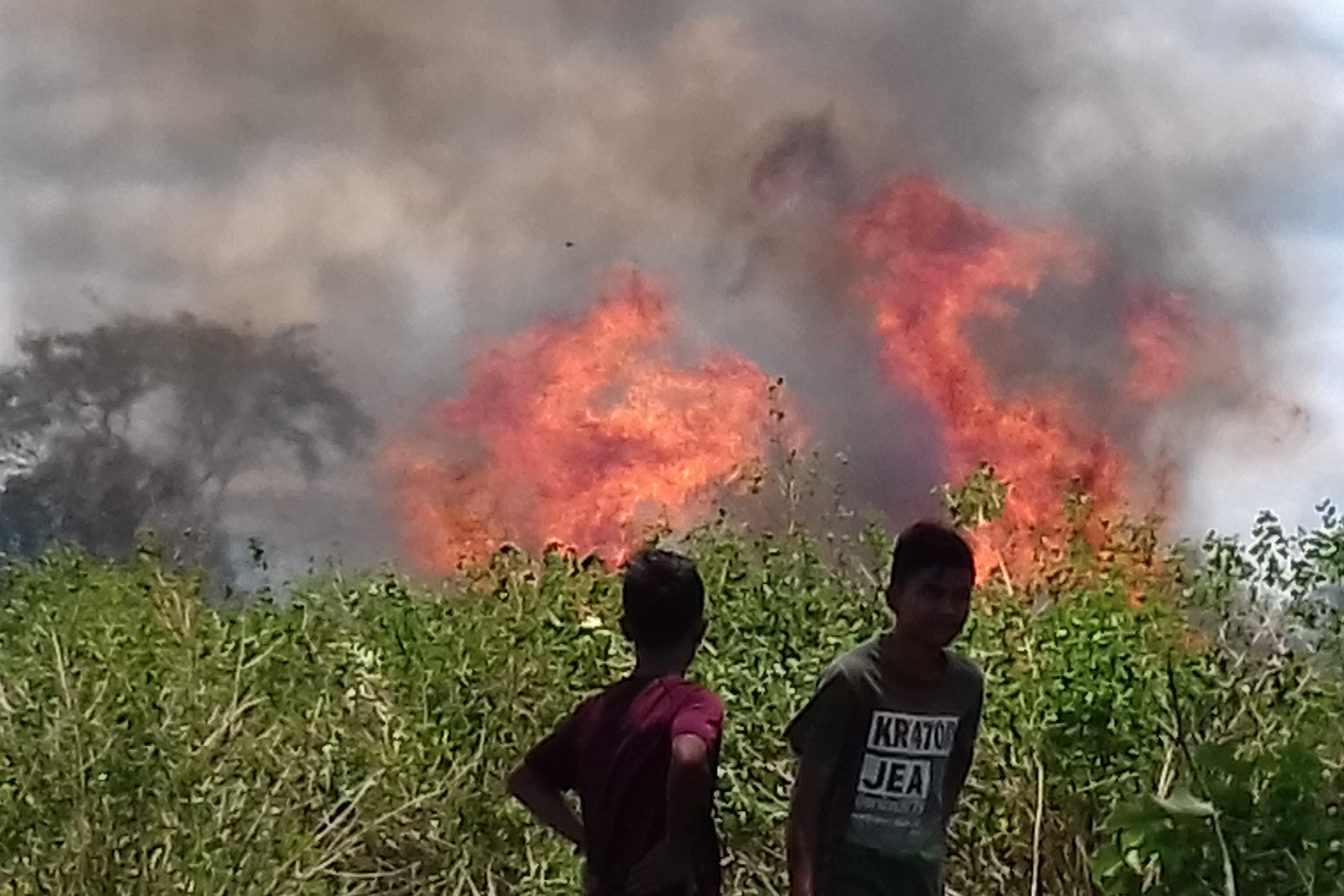 Kebakaran lahan di Aceh beberapa waktu lalu