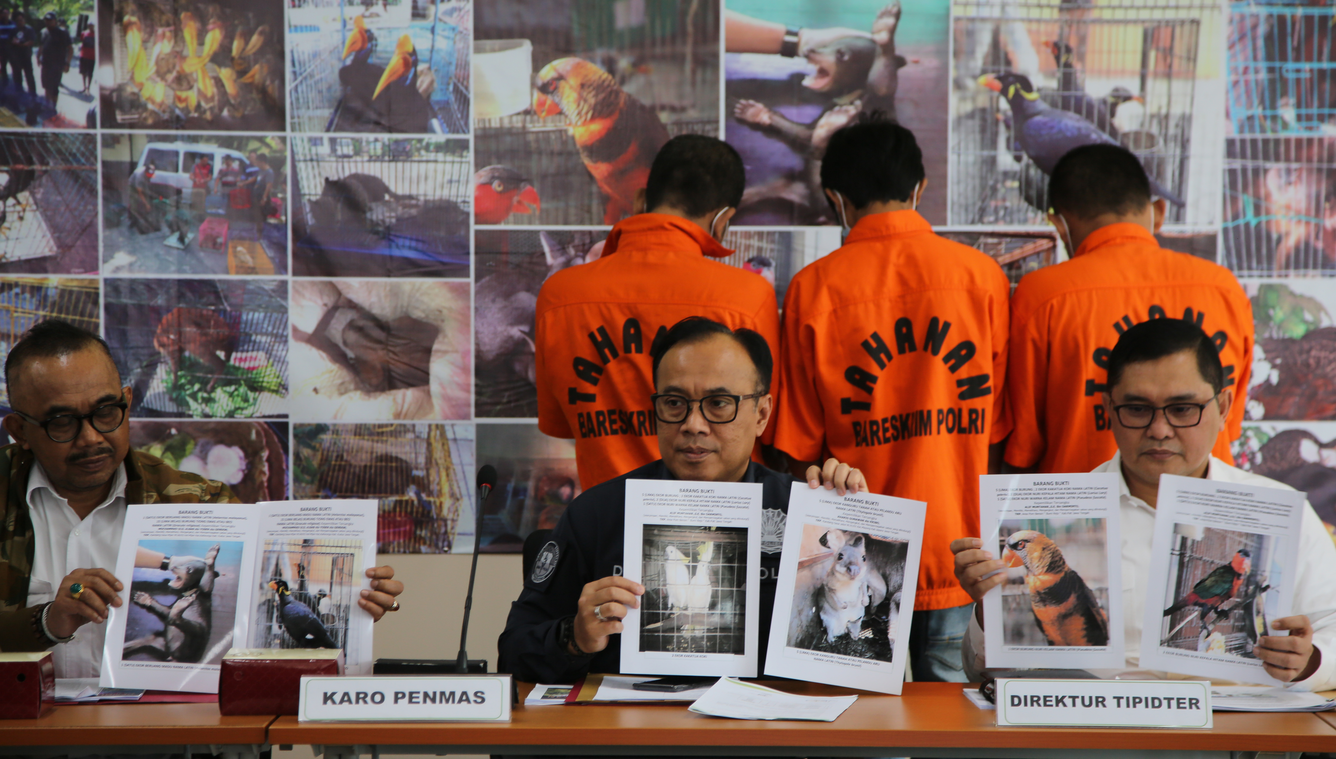 Dir Tipidter Bareskrim Polri Brigjen Fadil Imran (kanan) & Karo Penmas Humas Polri Brigjen Dedi Prasetyo (tengah) menunjukkan foto satwa