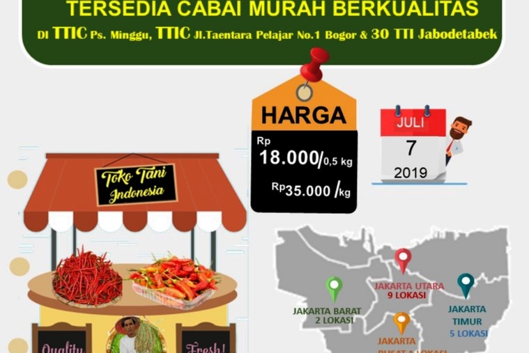 Daftar Harga Cabe berkualitas