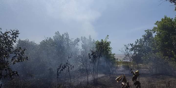 Kebakaran hutan dan lahan di kawasan Babel.
