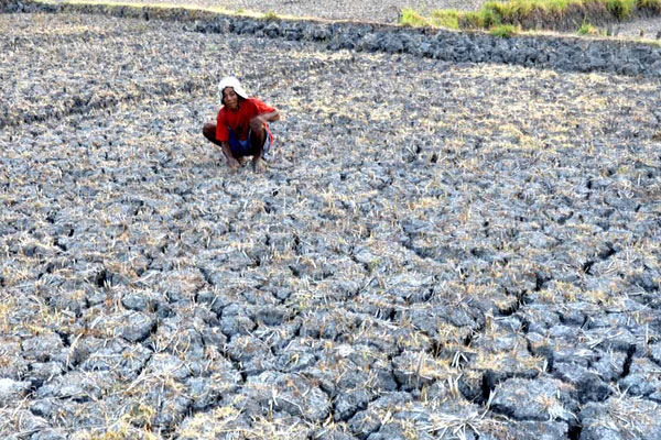 Kekeringan di Cilacap