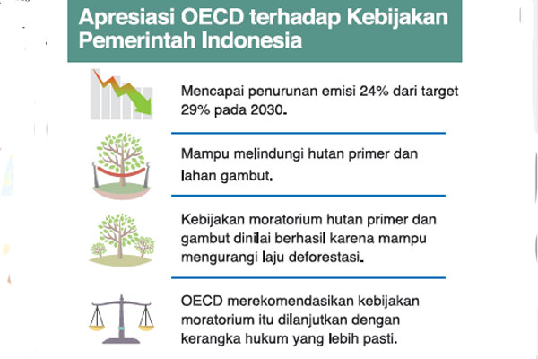  OECD Apresiasi Kebijakan Hijau