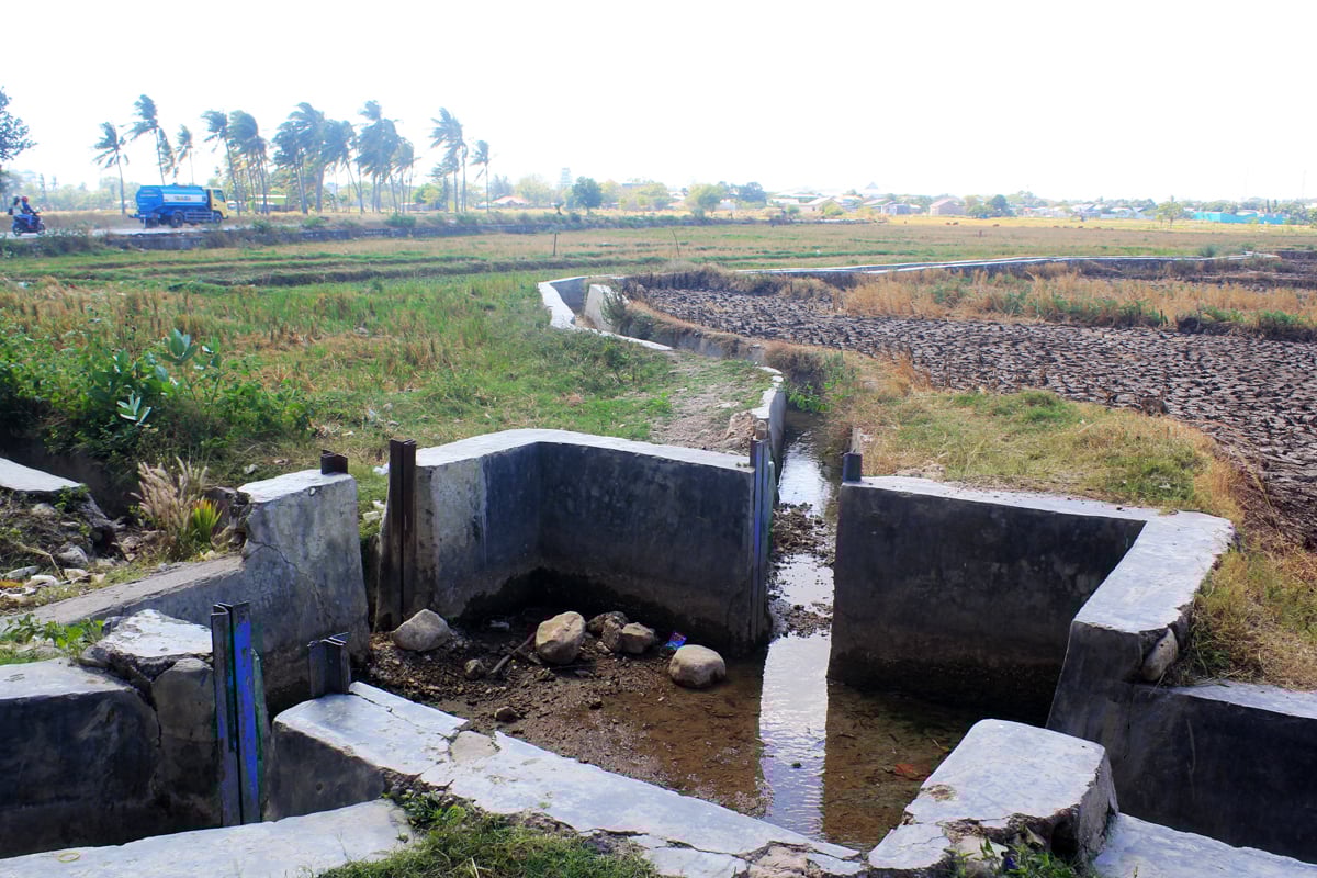 Kekeringan melanda wilayah Provinsi Nusa Tenggara Timur.