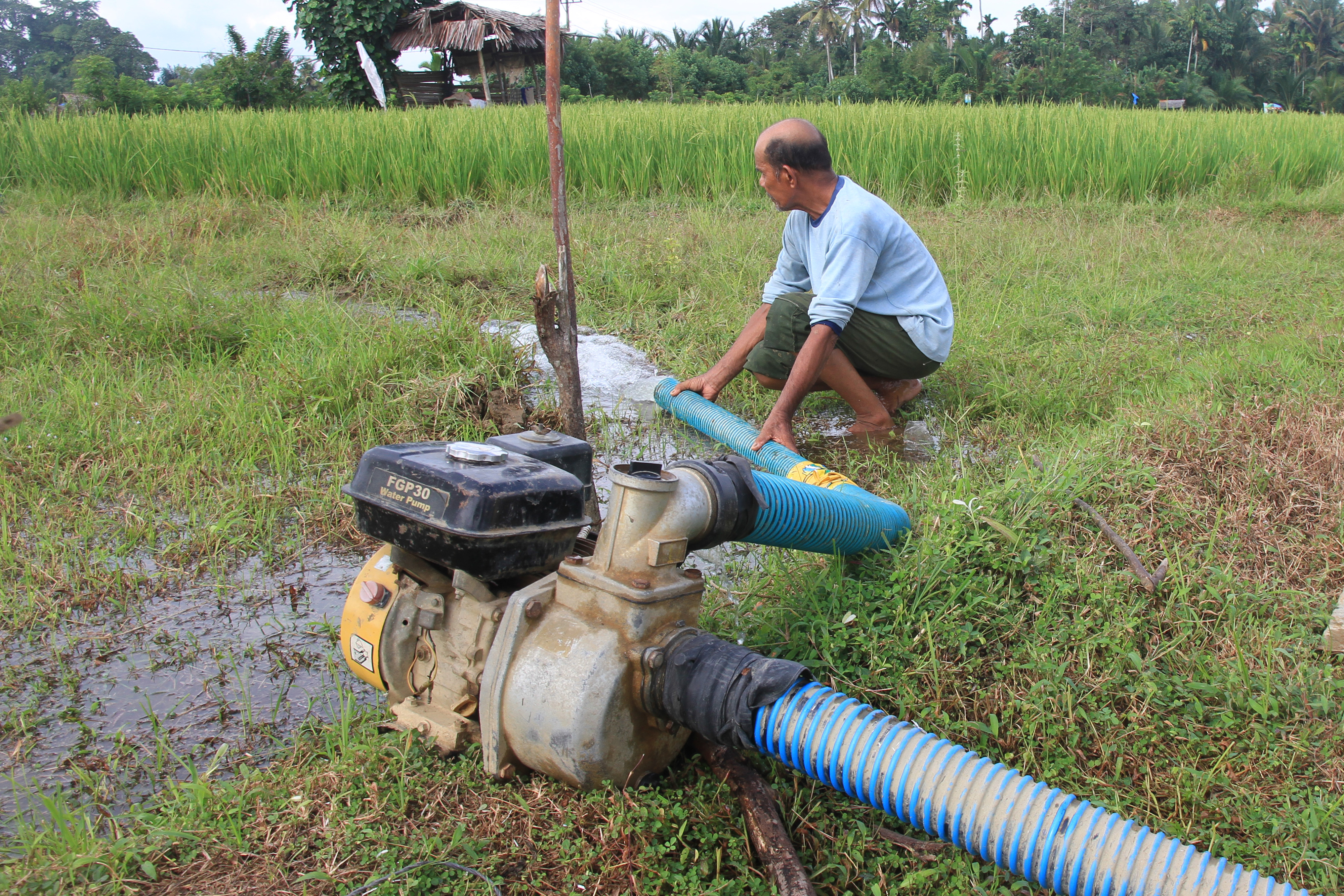 Petani mengairi sawah yang dilanda kekeringan menggunakan mesin pompa air di Desa Rantoe Panjang Barat, Meureubo, Aceh, Selasa (9/7)