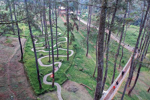 Orchid Forest yang berada di kaki Gunung Tangkuban Perahu
