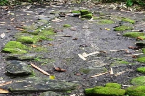 Tipe makam kuno berbentuk perahu yang ditemukan tim dari Balai Arkeologi Ambon di Kecamatan Kao, Halmahera Utara, Maluku Utara