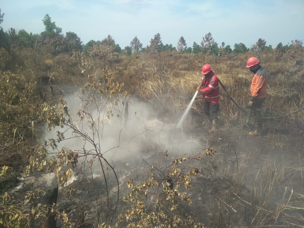 Kebakaran Hutan dan Lahan Meluas di Pekanbaru