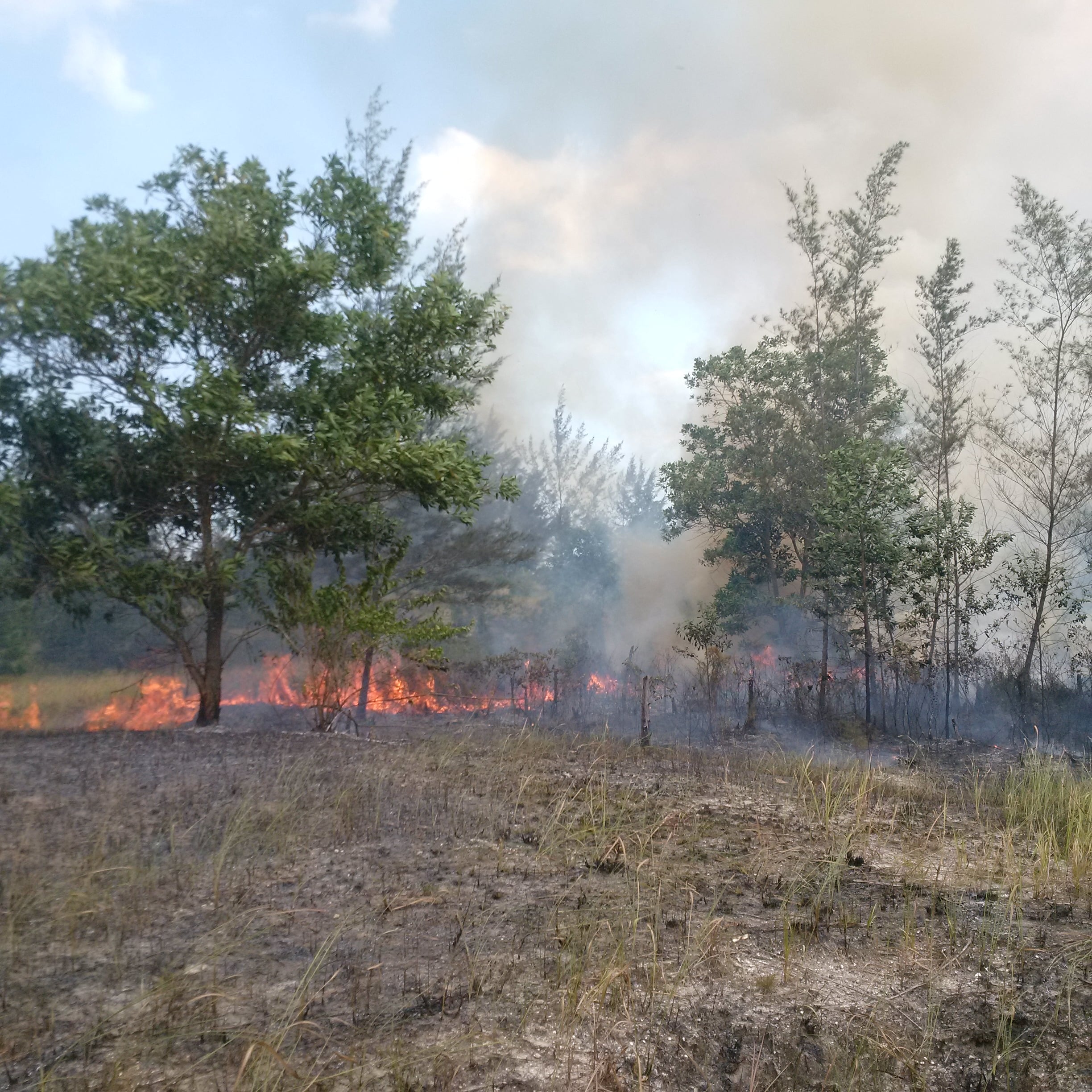 Puluhan hektar lahan di Kabupaten Bangka Tengah, Provinsi Bangka-Belitung terbakar