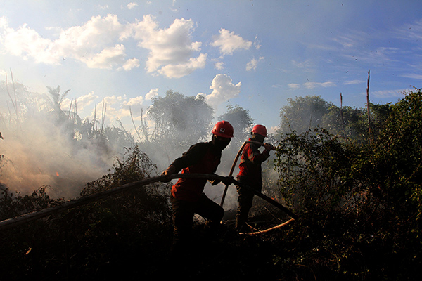Petugas Manggala Agni Daops Pekanbaru menyemprotkan air ke lahan gambut yang terbakar di Desa Karya Indah, Riau