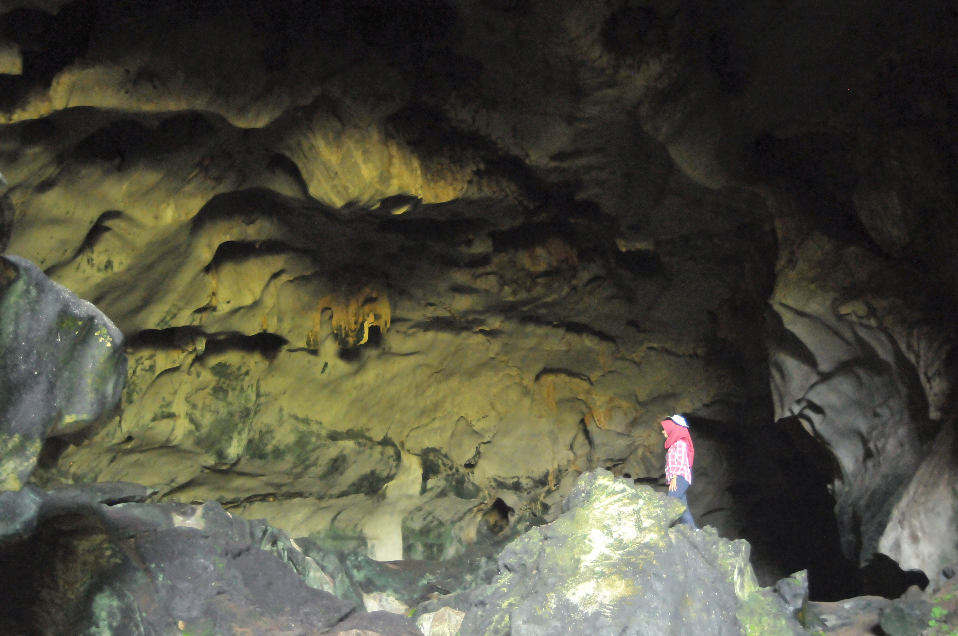  ANTARA FOTO/Ampelsa/pras/