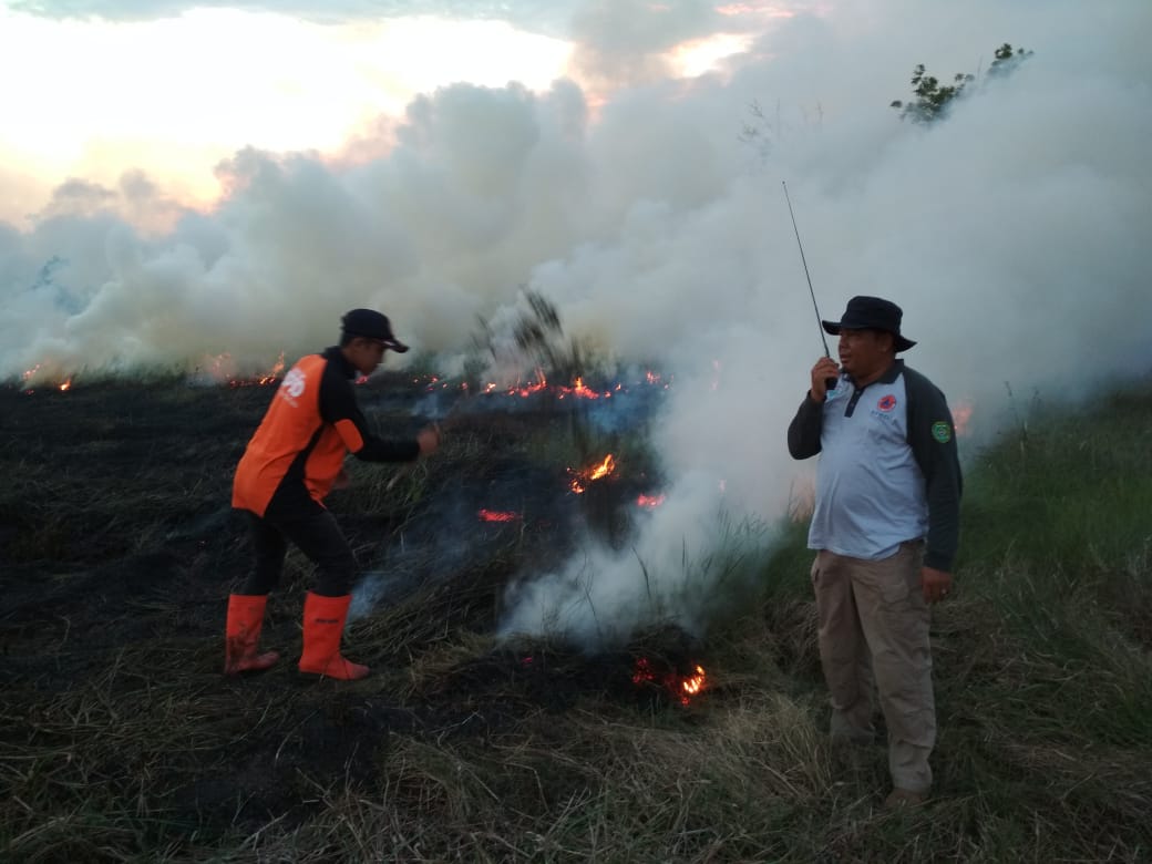 Wilayah gambut di Kalimantan Selatan mulai terbakar. 