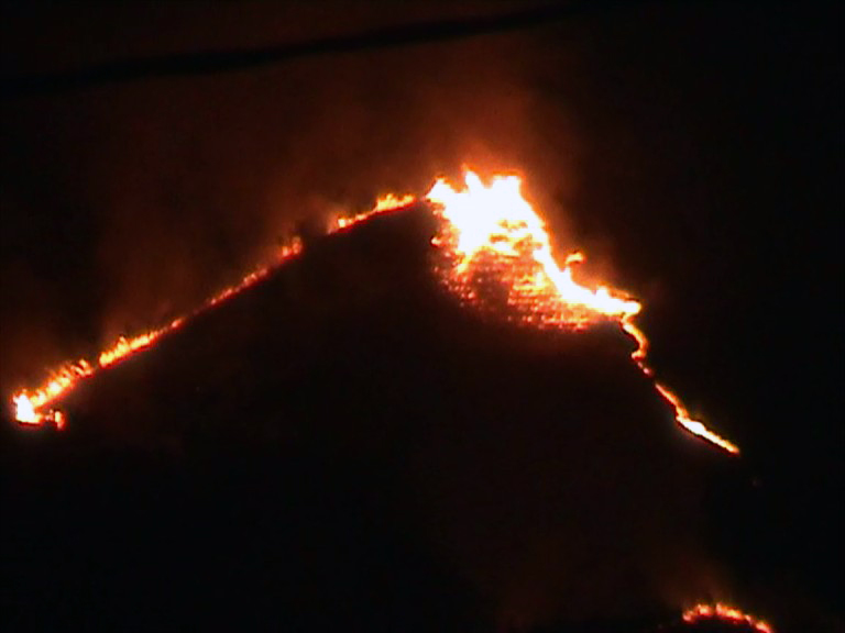 KEBAKARAN HUTAN ARJUNO