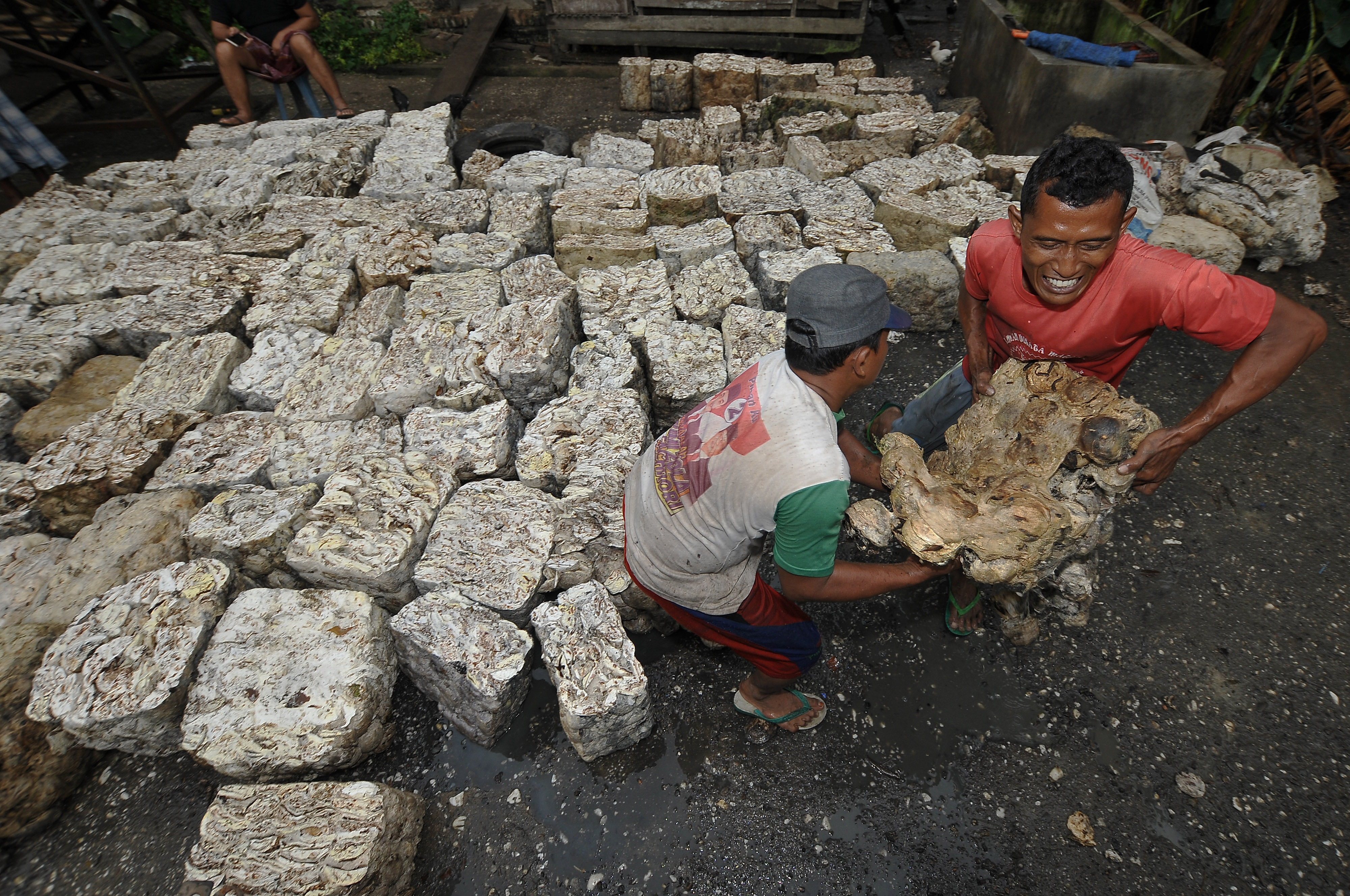 Pekerja memuat getah karet di tempat penampungan karet sementara Singkut, Sarolangun, Jambi