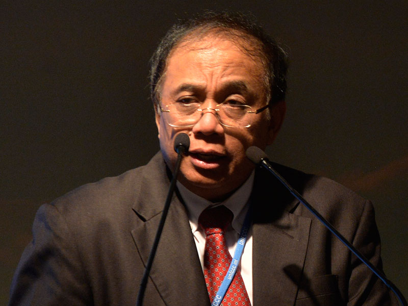 Ketua Umum APHI Indroyono Soesilo.