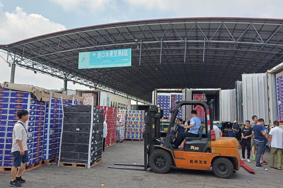 Indonesia Optimistis Ekspor Hortikultura ke Tiongkok Naik