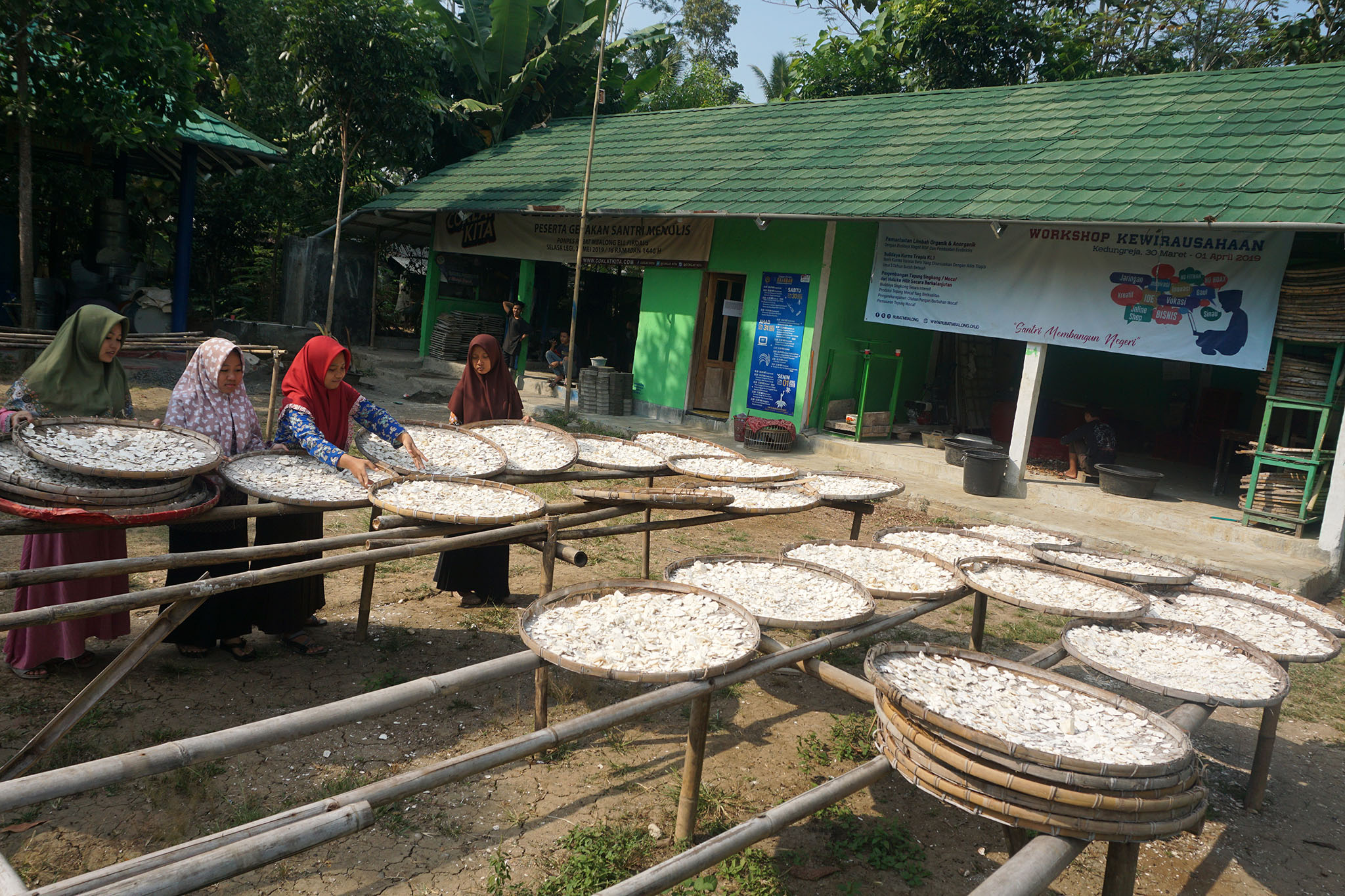 Sejumlah santri perempuan di Ponpes Ell Firdaus, Kedungreja, Cilacap, Jawa Tengah menjemur singkong telah dikupas untuk bahan baku mocaf.