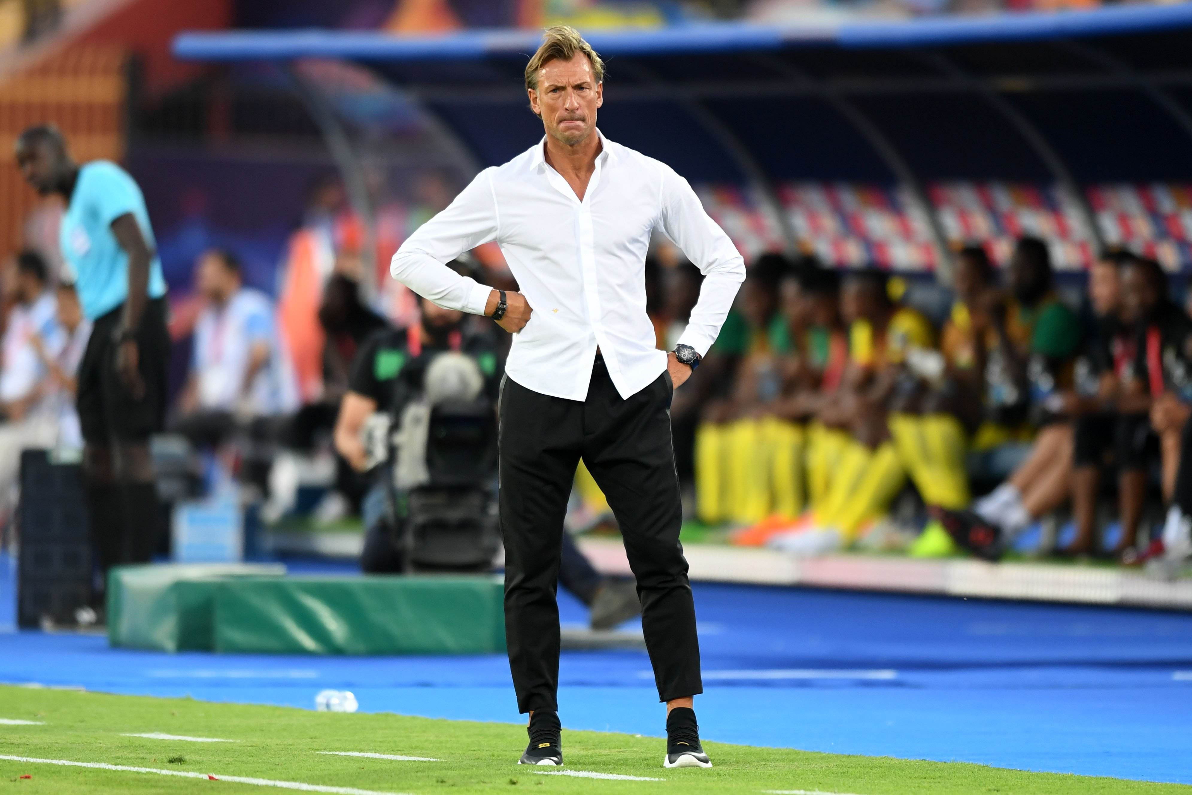 Herve Renard