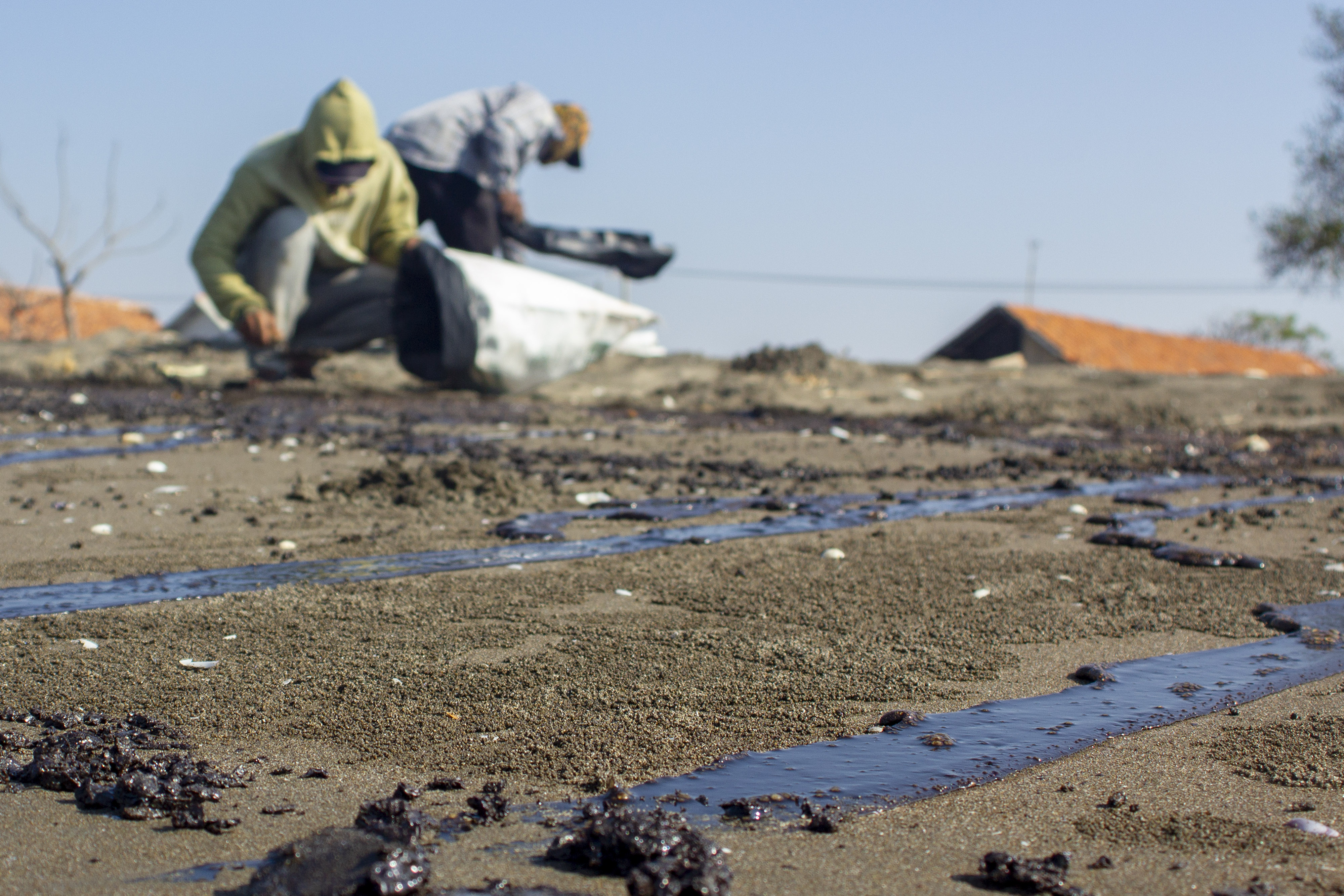 Tumpahan minyak di pesisir laut karawang