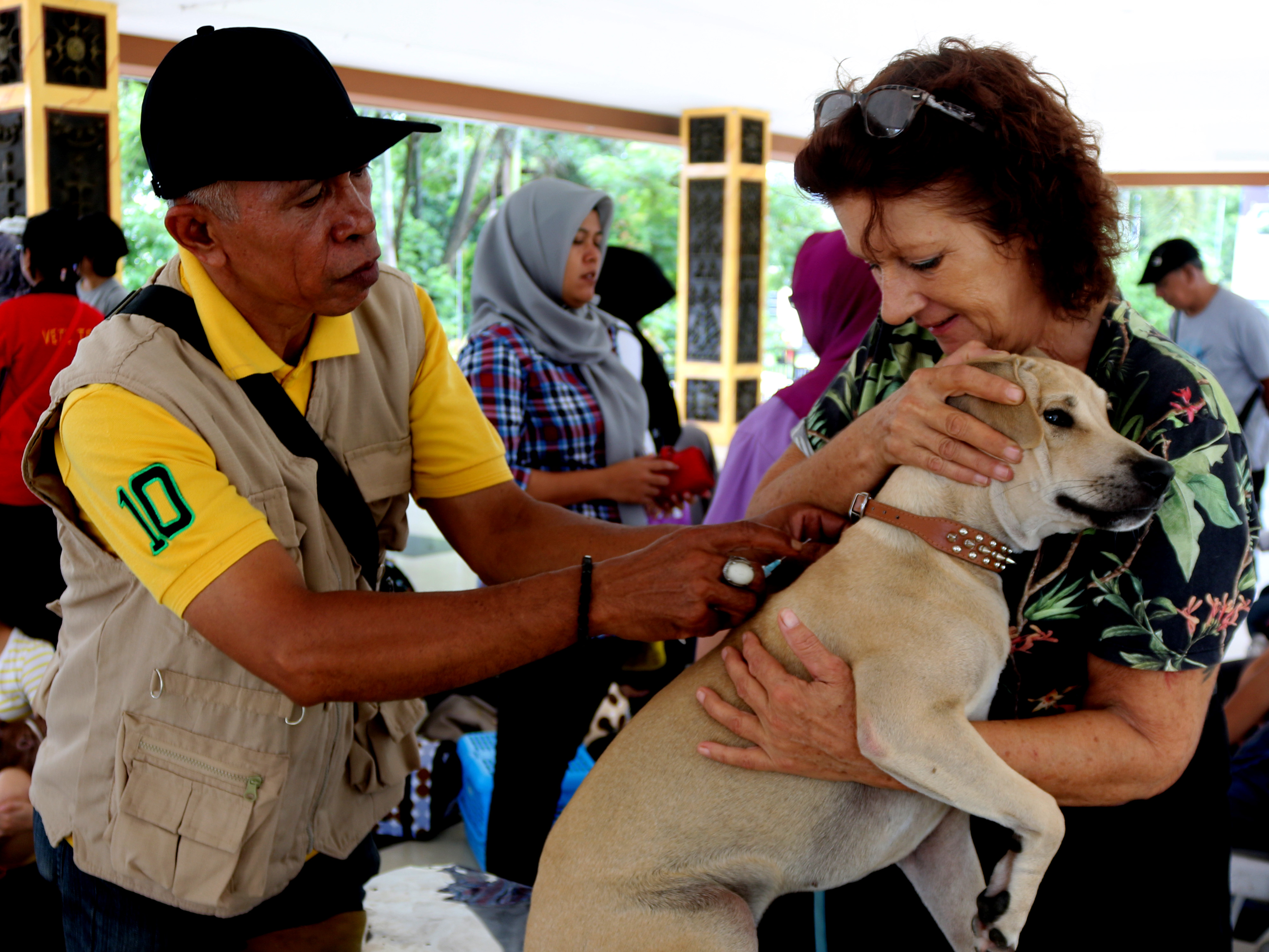 Petugas kesehatan menyuntikan vaksin rabies pada hewan peliharaan masyarakat