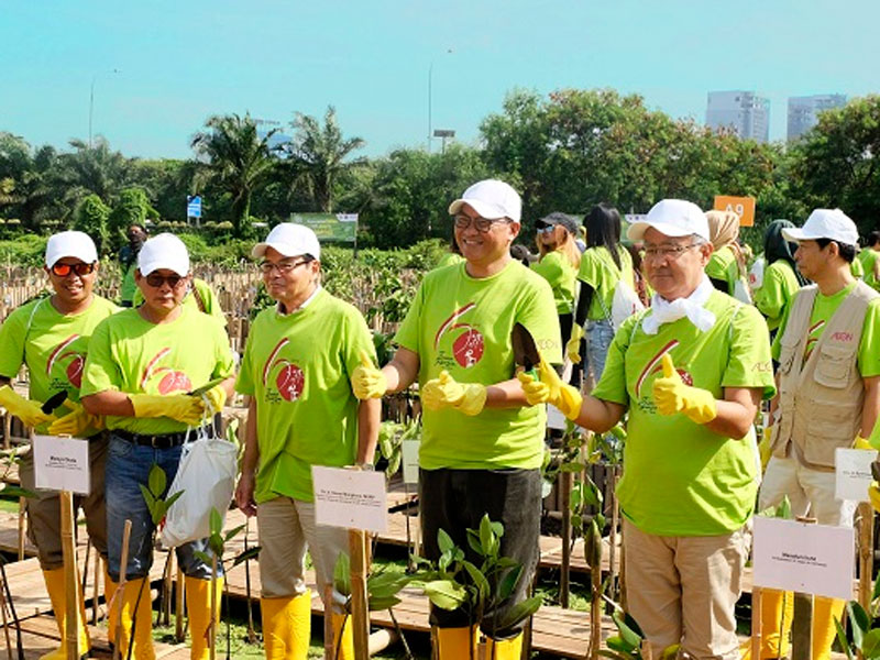 Menanam Mangrove di Pesisir Ibu Kota