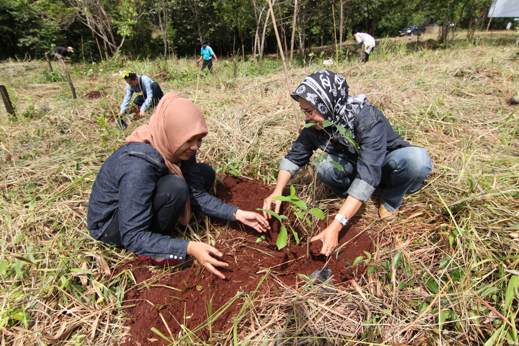 Penanaman lahan kritis di kawasan Taman Hutan Raya Sultan Adam, Kabupaten Banjar, Kalsel.