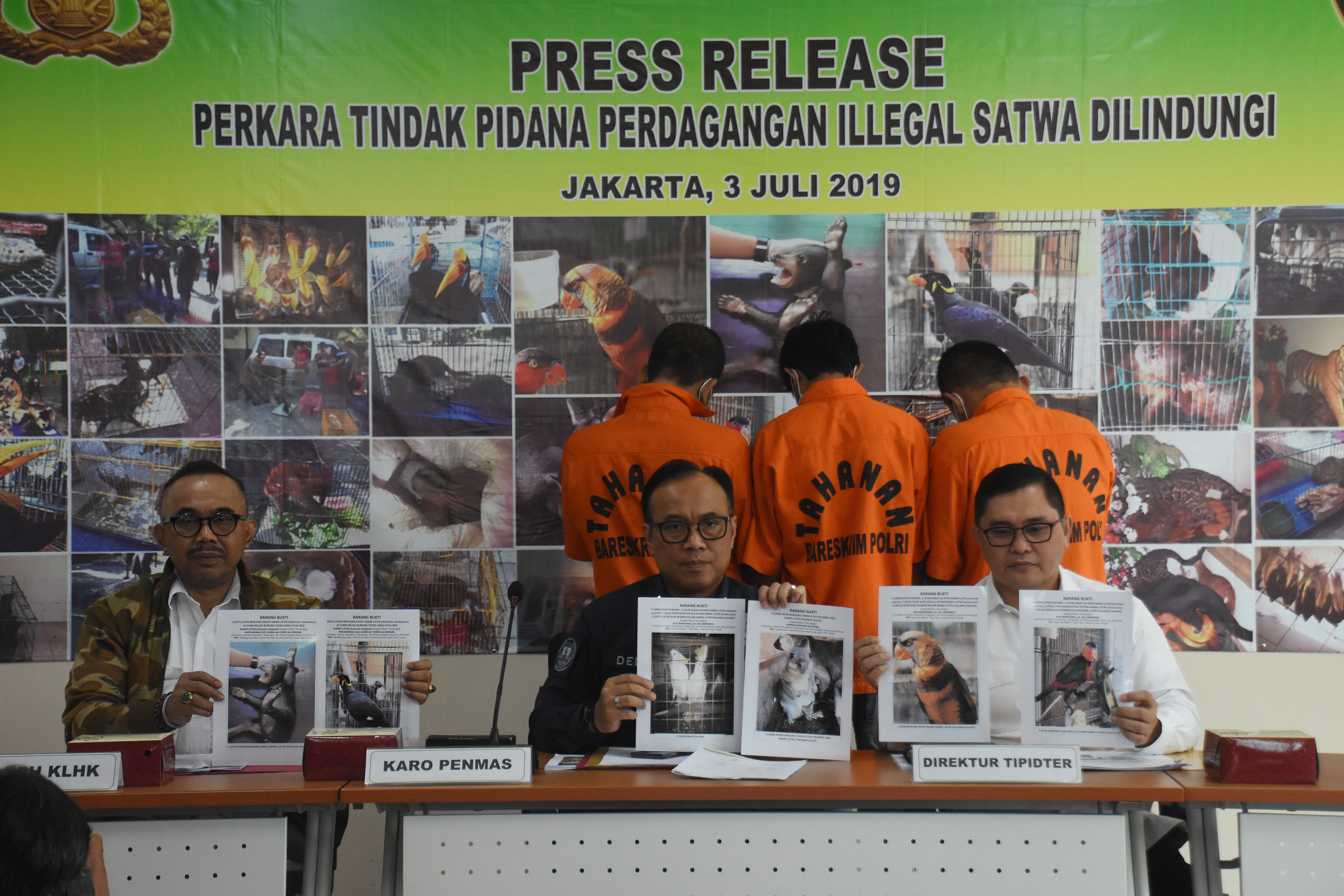 Perdagangan Ilegal Satwa dilindungi 