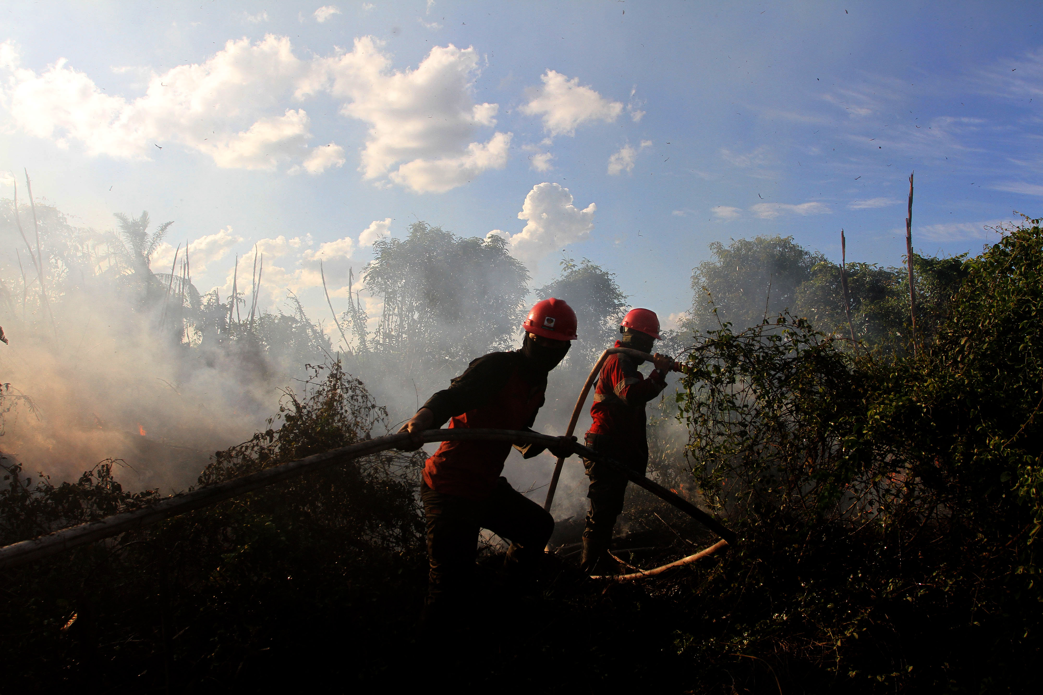 5.400 Hektare Area Konsesi di Riau Terbakar