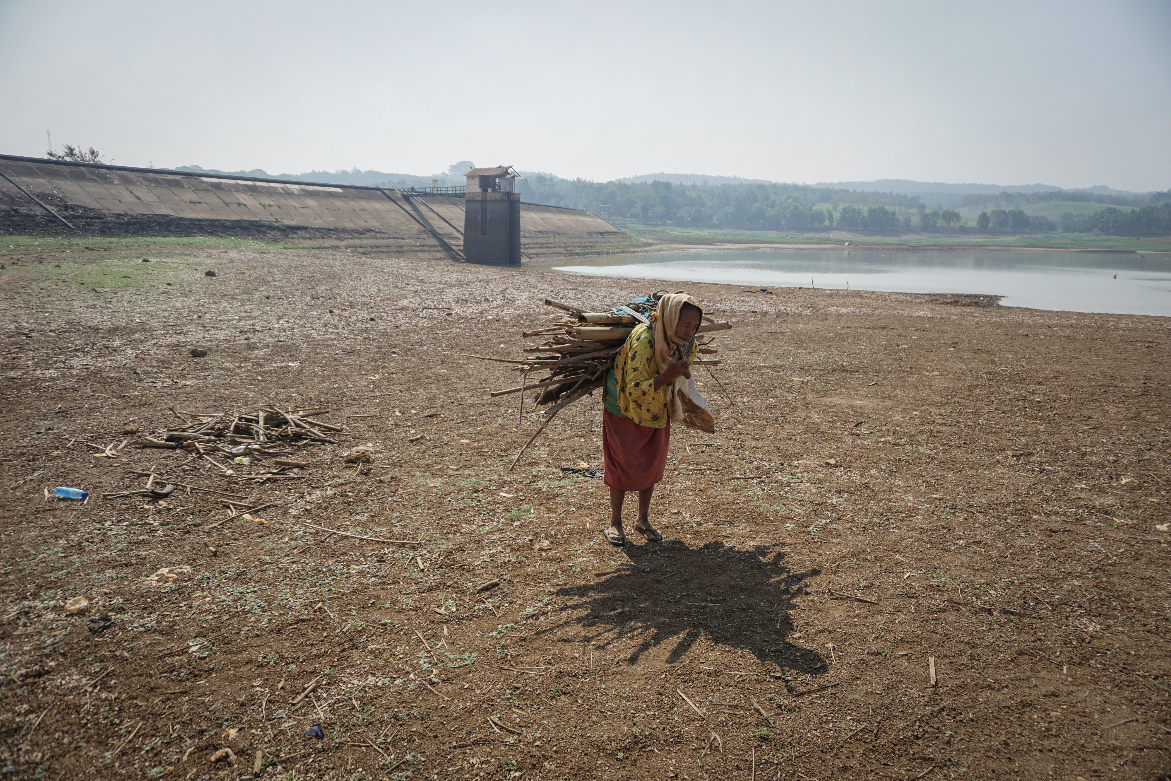 Seorangarga mencari kayu bakar di area waduk Tirtomarto Delingan yang mengalami penyusutan air di Karanganyar, Jawa Tengah, Senin (29/7)