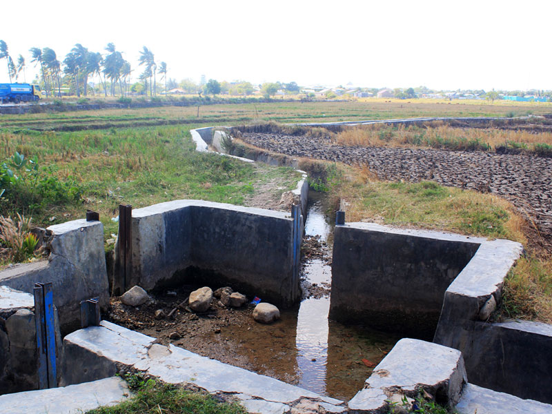 Saluran drainase di Persawahan Oepoi, Kota Kupang, Nusa Tenggara Timur (NTT).