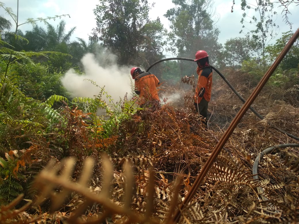 Petugas pemadaman memadamkan api di lahan gambut yang terbakar di Riau