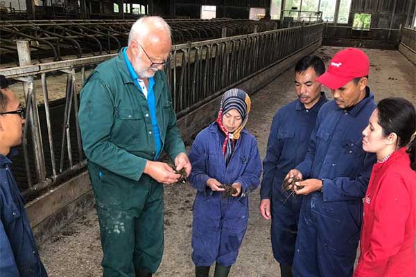 Program Farmer2Farmer dengan mengirim empat peternak Indonesia untuk belajar tentang Good Dairy Farming Practices langsung ke Belanda 