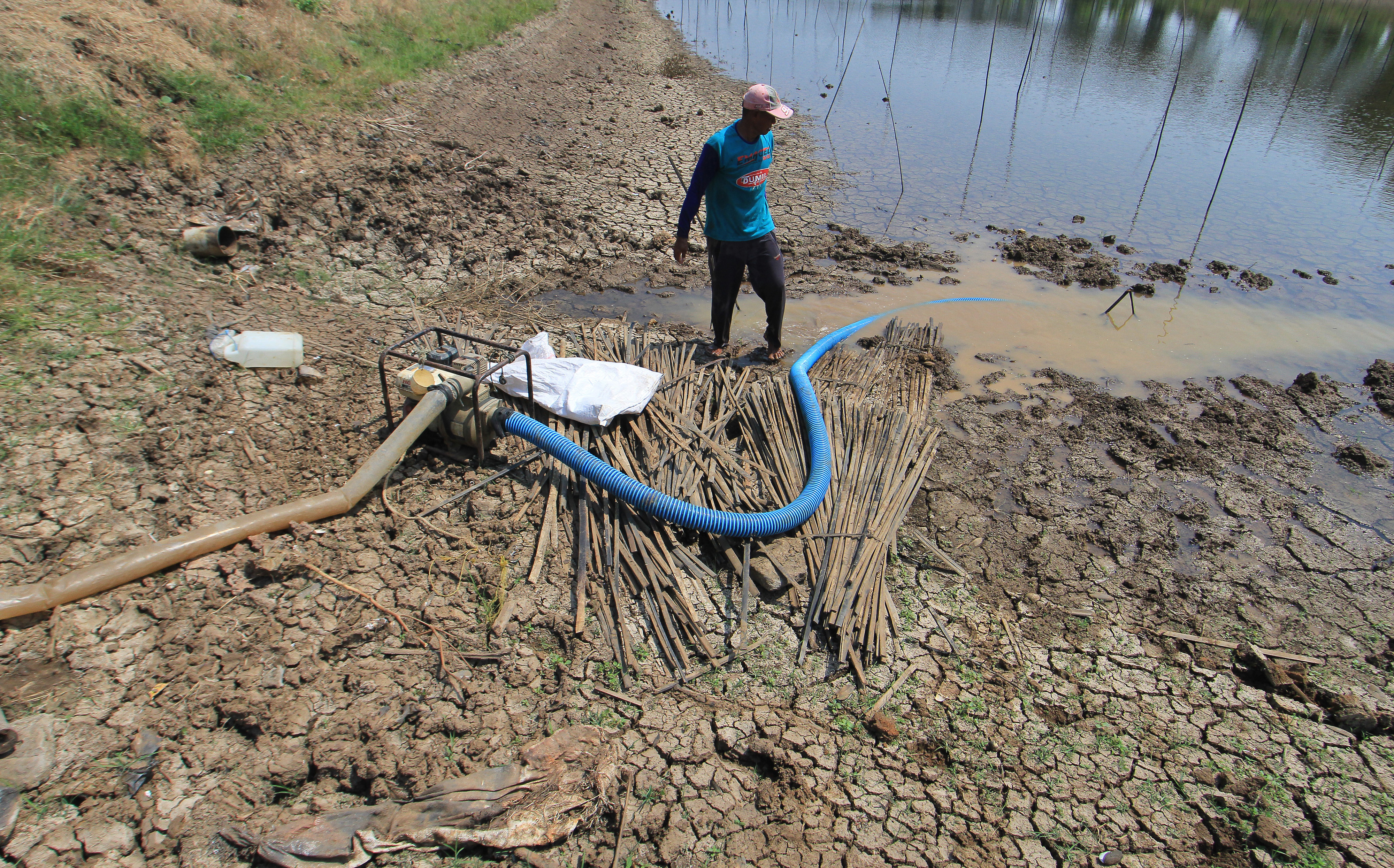 Kekeringan di wilayah Indramayu, Jawa Barat.