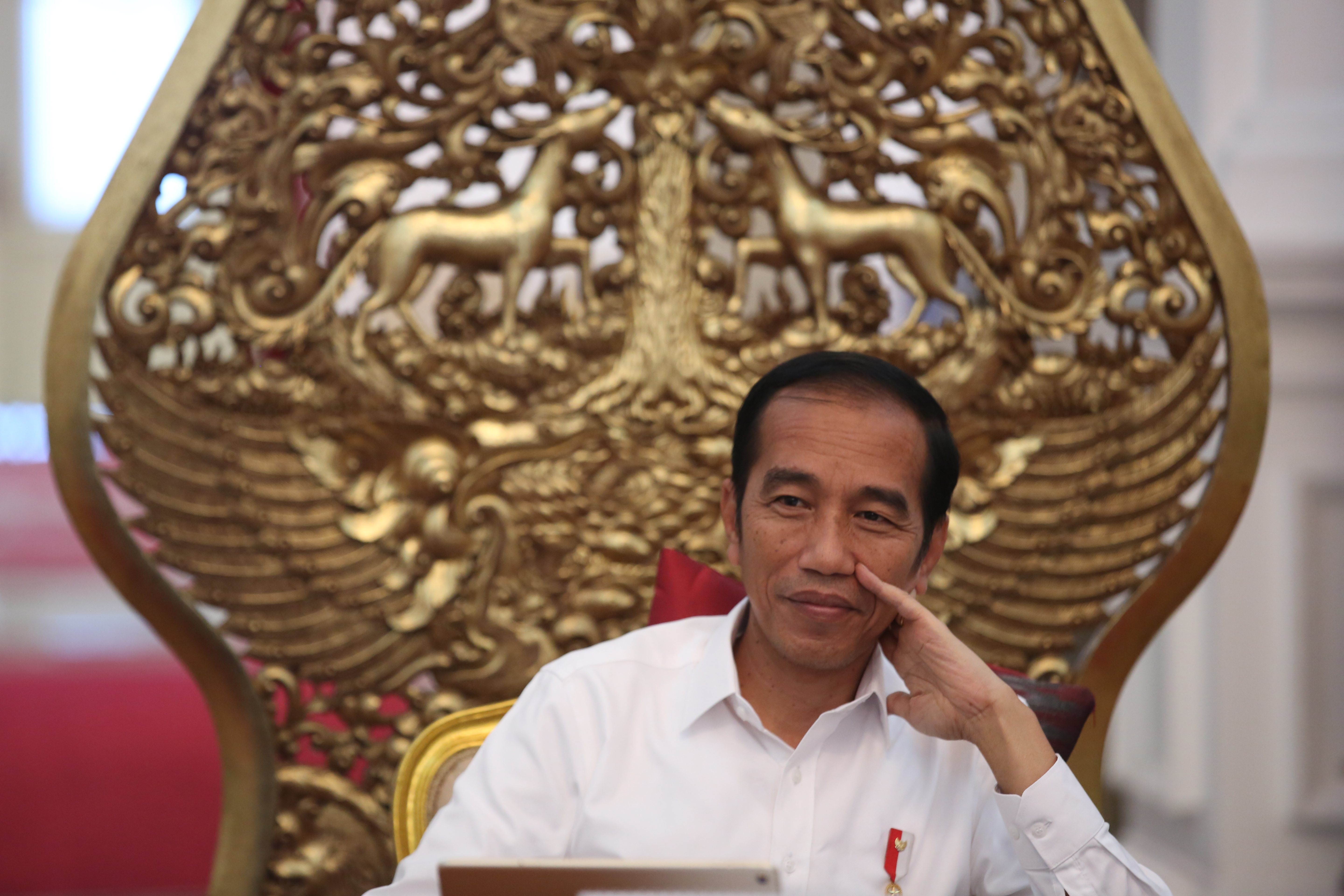 Presiden Joko Widodo