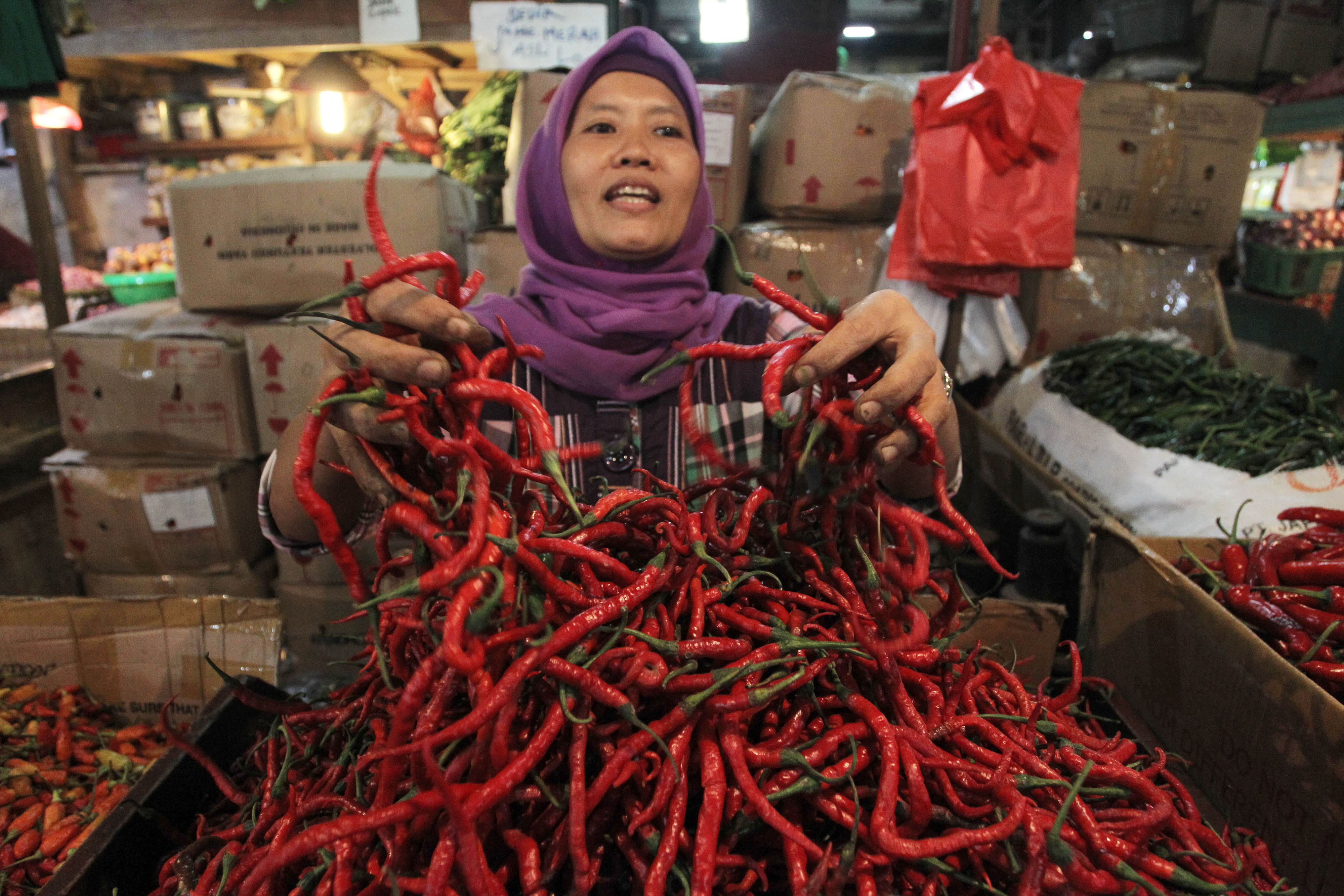 Pedagang cabai.