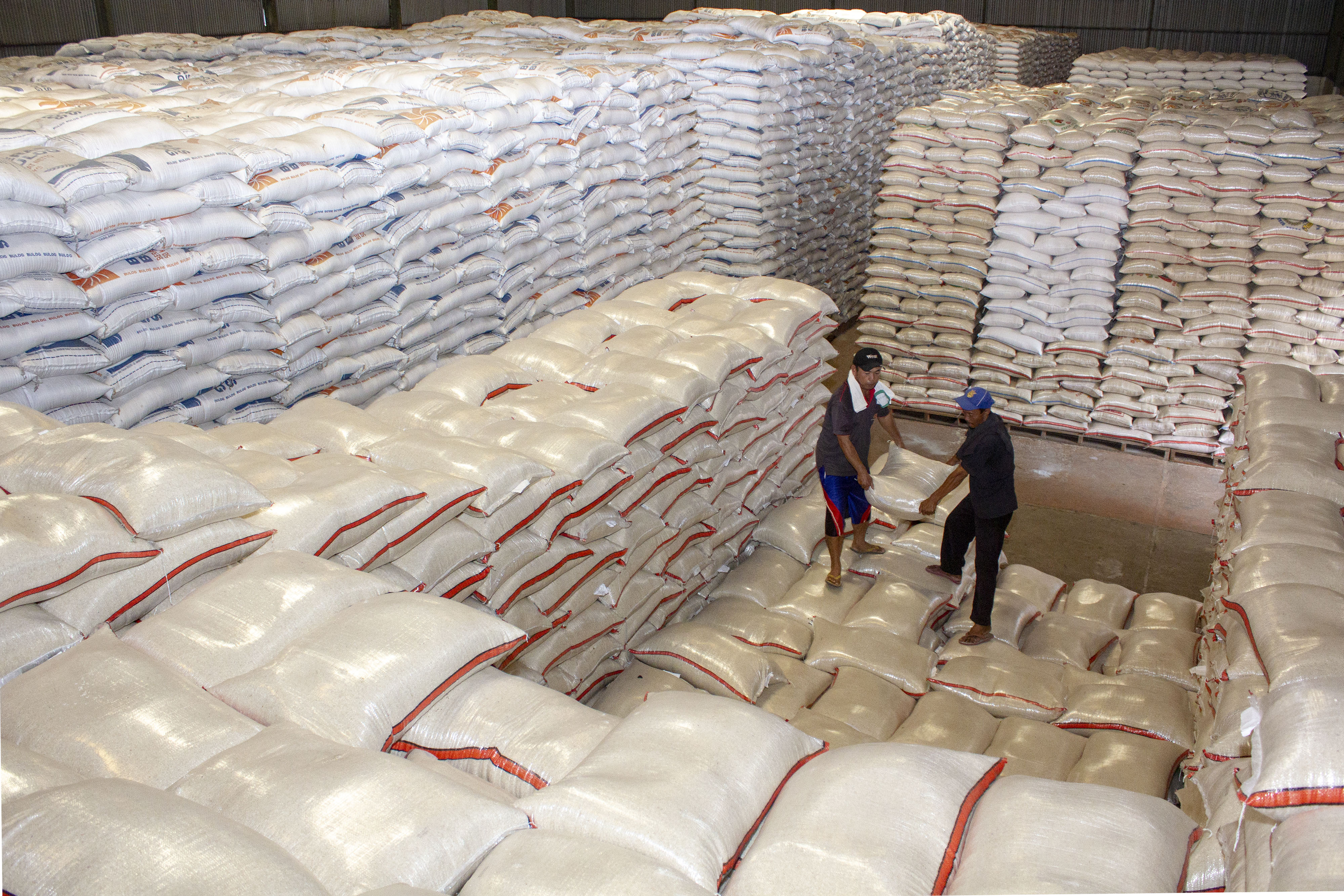 Pekerja mengangkut karung berisi beras medium di Gudang Subdivre Bulog Purwasari II, Purwasari, Karawang, Jawa Barat.