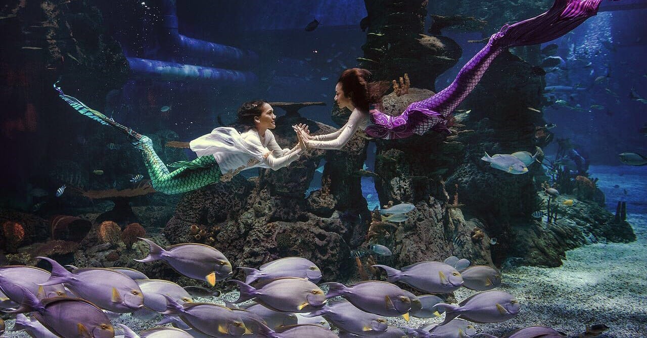 Salah satu pertunjukkan di Jakarta Aquarium.