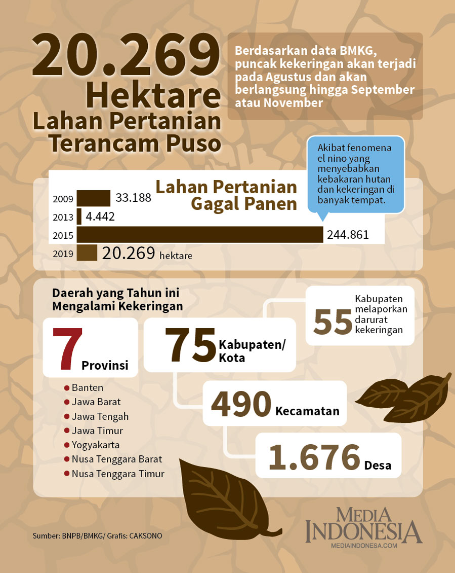 infografis