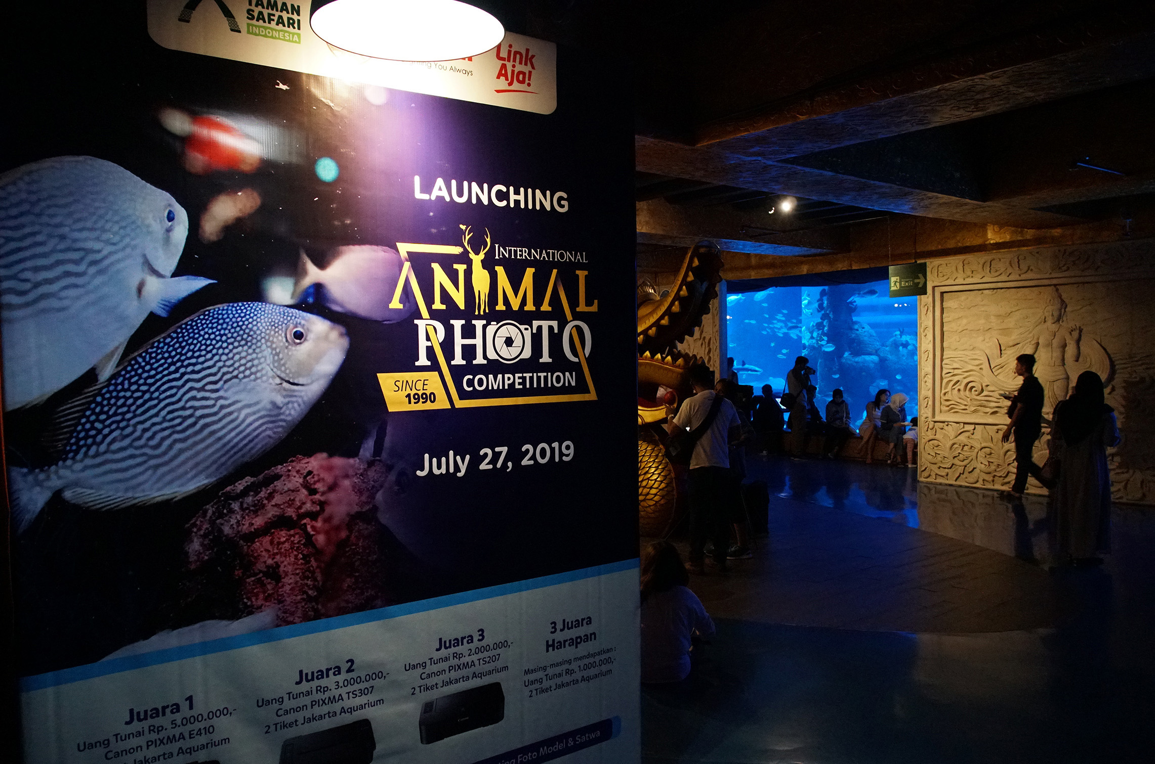 Pengunjung menyaksikan hewan-hewan laut di Jakarta Aquarium, Jakarta.