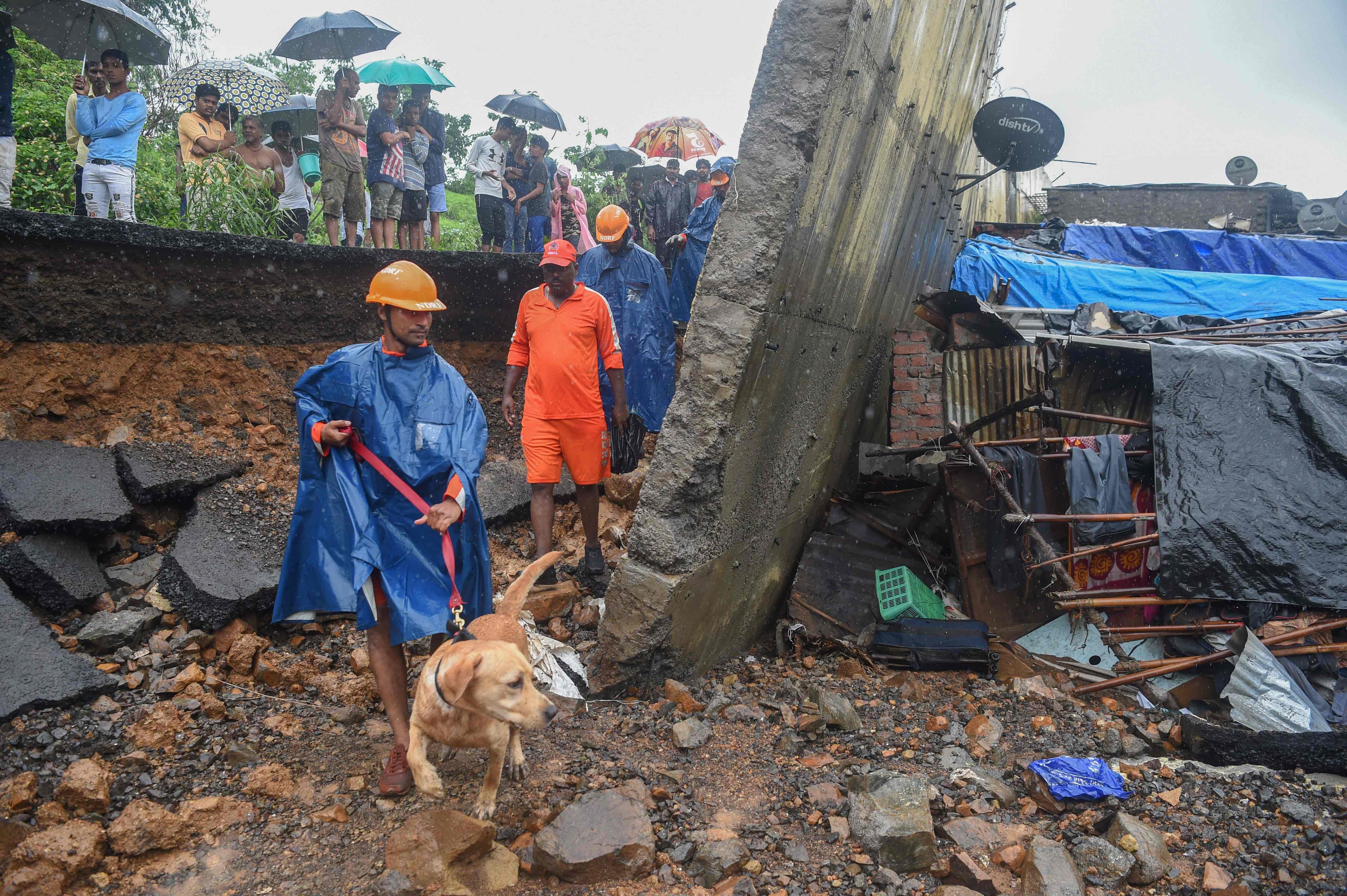 Petugas penyelamat menggunakan anjing untuk mencari orang yang selamat di lokasi keruntuhan tembok di Mumbai pada 2 Juli 2019.  